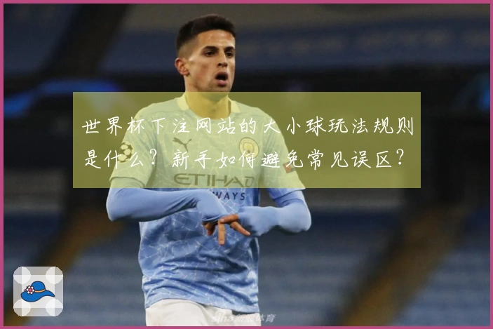 世界杯下注网站的大小球玩法规则是什么？新手如何避免常见误区？