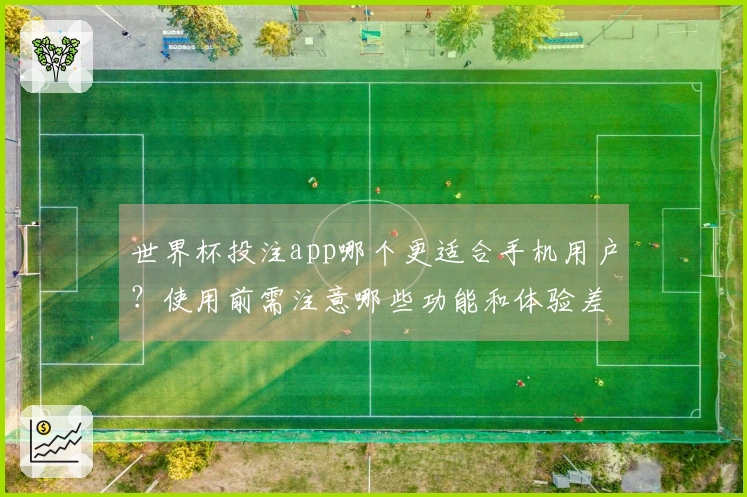 世界杯投注app哪个更适合手机用户？使用前需注意哪些功能和体验差异