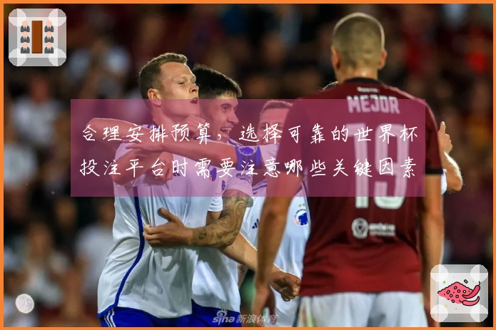 合理安排预算，选择可靠的世界杯投注平台时需要注意哪些关键因素