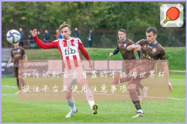 如何识别安全可靠的手机端世界杯投注平台及使用注意事项