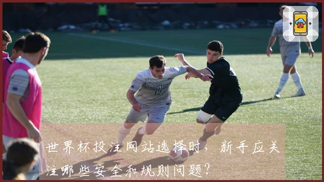 世界杯投注网站选择时，新手应关注哪些安全和规则问题？