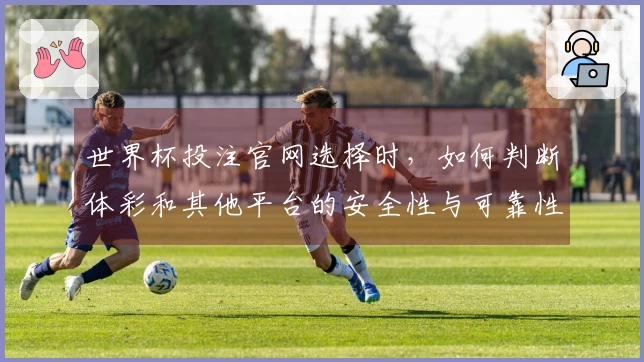 世界杯投注官网选择时，如何判断体彩和其他平台的安全性与可靠性？