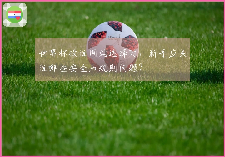 世界杯投注网站选择时，新手应关注哪些安全和规则问题？