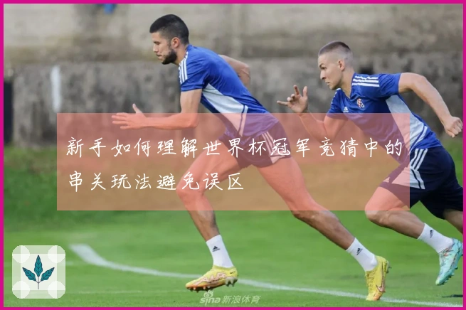 新手如何理解世界杯冠军竞猜中的串关玩法避免误区