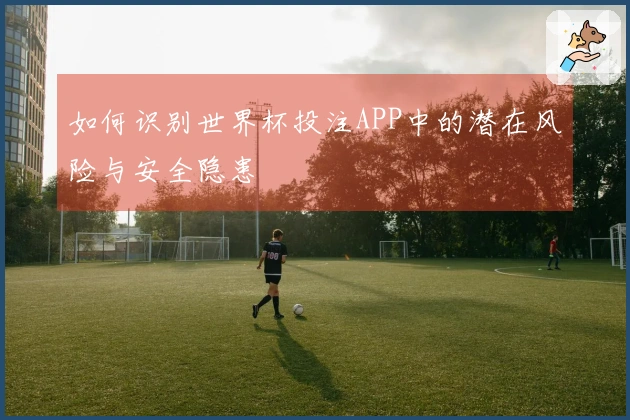 如何识别世界杯投注APP中的潜在风险与安全隐患