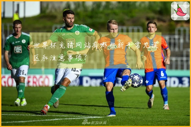 世界杯竞猜网站有哪些新手常见误区和注意事项？