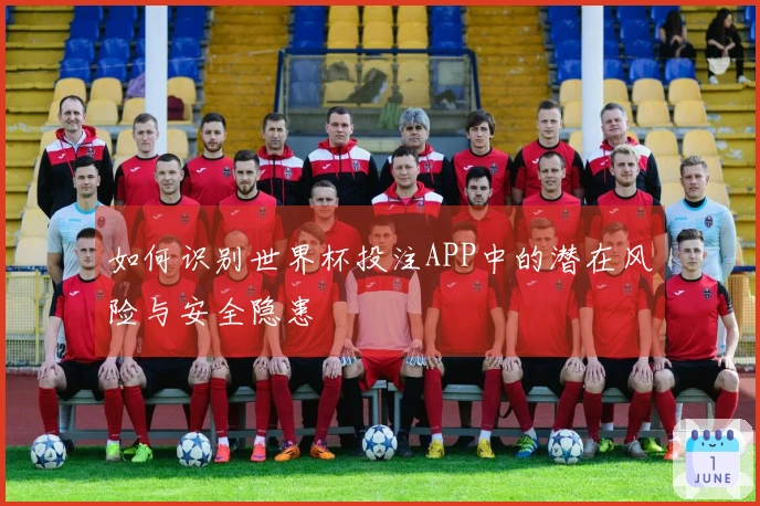 如何识别世界杯投注APP中的潜在风险与安全隐患