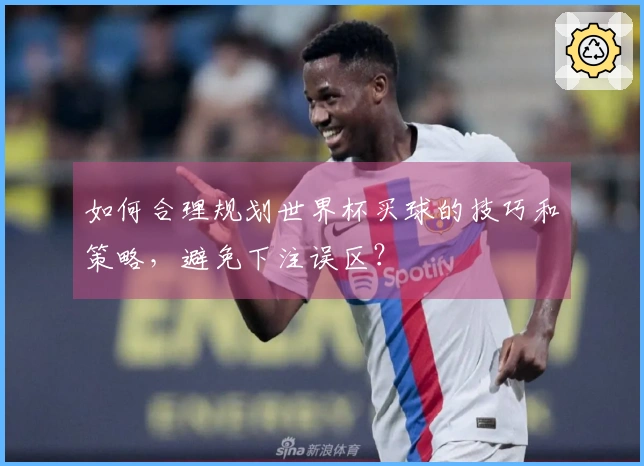 如何合理规划世界杯买球的技巧和策略，避免下注误区？