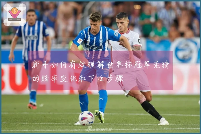 新手如何有效理解世界杯冠军竞猜的赔率变化和下注步骤
