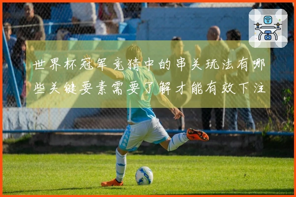 世界杯冠军竞猜中的串关玩法有哪些关键要素需要了解才能有效下注