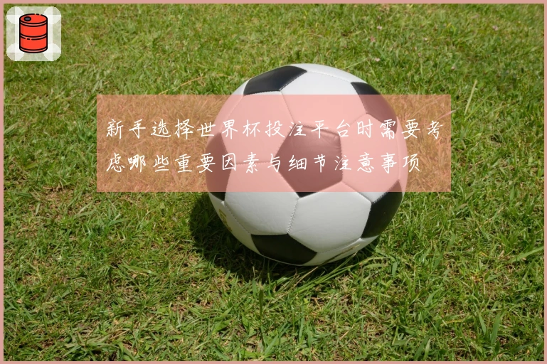 新手选择世界杯投注平台时需要考虑哪些重要因素与细节注意事项