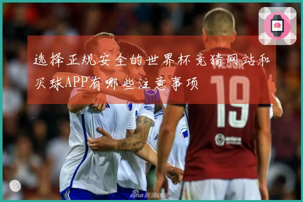 选择正规安全的世界杯竞猜网站和买球APP有哪些注意事项