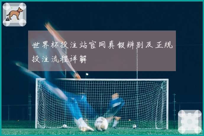 世界杯投注站官网真假辨别及正规投注流程详解