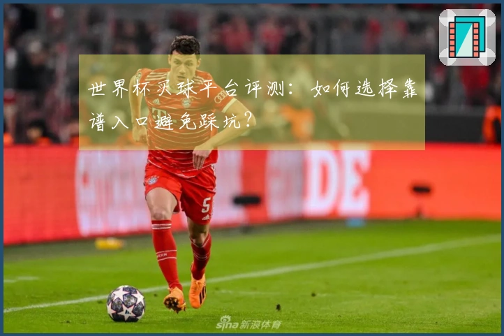 世界杯买球平台评测：如何选择靠谱入口避免踩坑？