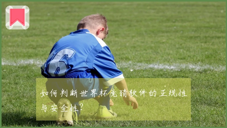 如何判断世界杯竞猜软件的正规性与安全性？
