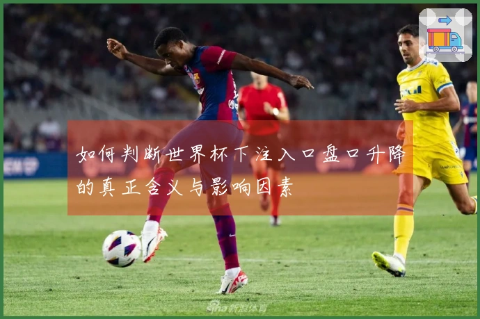 如何判断世界杯下注入口盘口升降的真正含义与影响因素