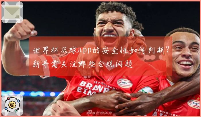 世界杯买球app的安全性如何判断？新手需关注哪些合规问题