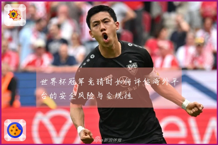 世界杯冠军竞猜时如何评估海外平台的安全风险与合规性
