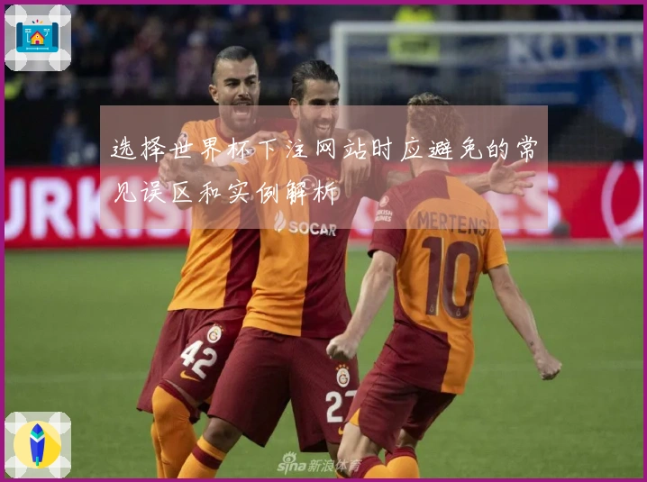 选择世界杯下注网站时应避免的常见误区和实例解析
