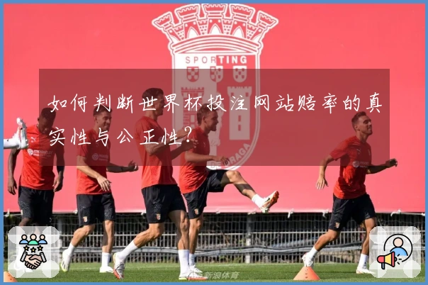 如何判断世界杯投注网站赔率的真实性与公正性？