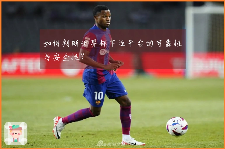 如何判断世界杯下注平台的可靠性与安全性？