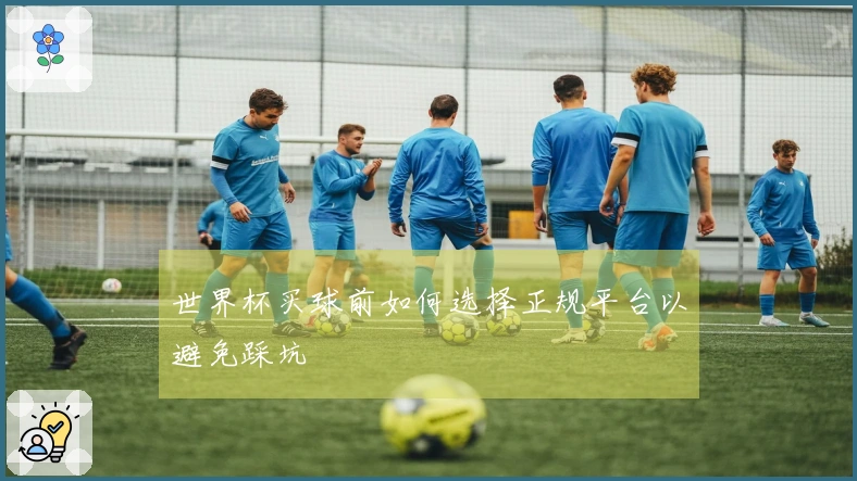 世界杯买球前如何选择正规平台以避免踩坑