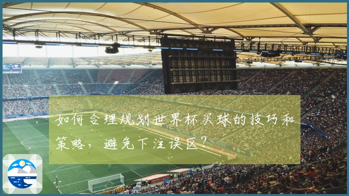 如何合理规划世界杯买球的技巧和策略，避免下注误区？
