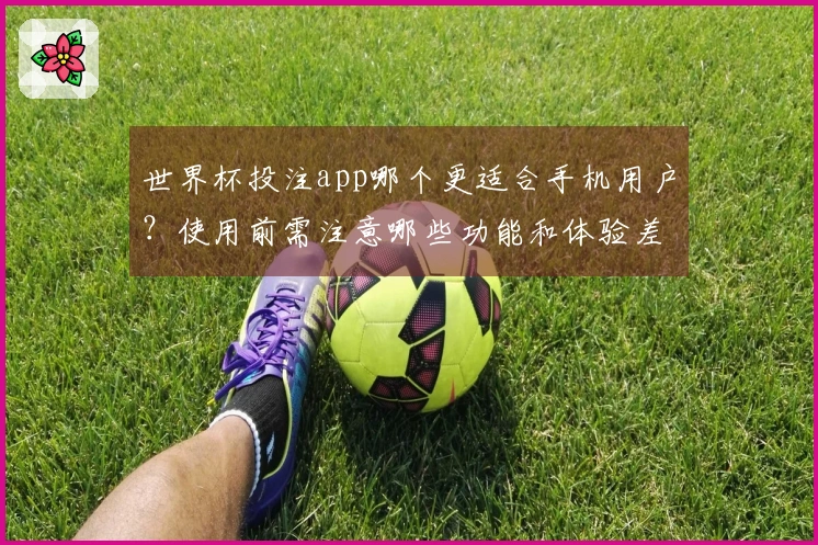 世界杯投注app哪个更适合手机用户？使用前需注意哪些功能和体验差异