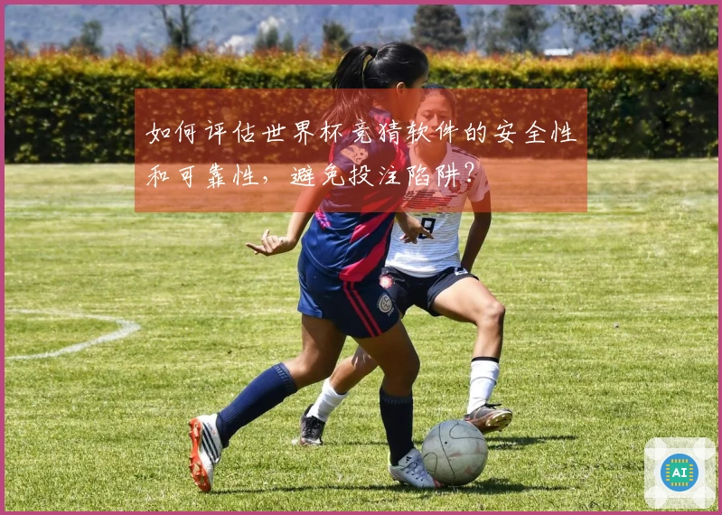 如何评估世界杯竞猜软件的安全性和可靠性，避免投注陷阱？