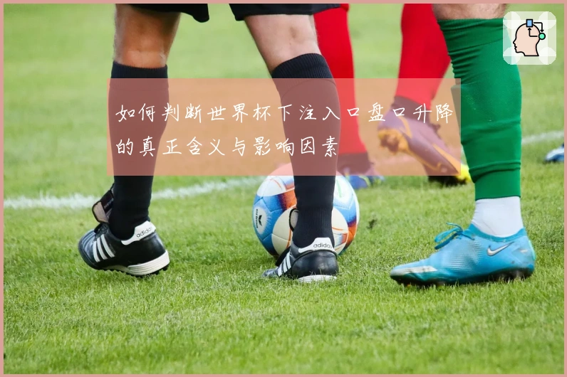 如何判断世界杯下注入口盘口升降的真正含义与影响因素