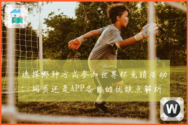 选择哪种方式参加世界杯竞猜活动：网页还是APP各自的优缺点解析