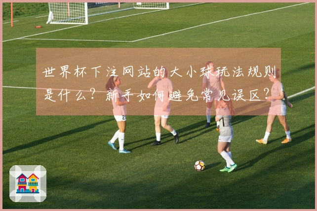 世界杯下注网站的大小球玩法规则是什么？新手如何避免常见误区？