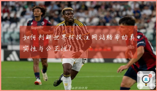 如何判断世界杯投注网站赔率的真实性与公正性？