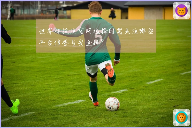 世界杯投注官网选择时需关注哪些平台信誉与安全性？