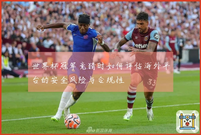 世界杯冠军竞猜时如何评估海外平台的安全风险与合规性