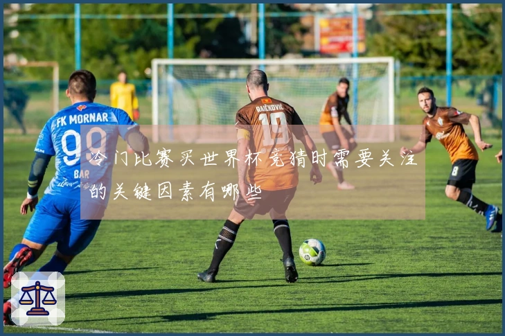 冷门比赛买世界杯竞猜时需要关注的关键因素有哪些