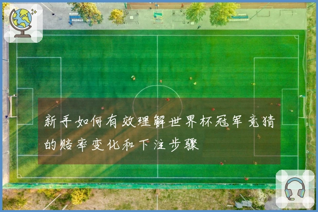 新手如何有效理解世界杯冠军竞猜的赔率变化和下注步骤