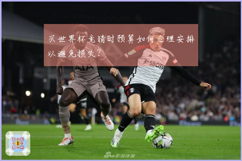 买世界杯竞猜时预算如何合理安排以避免损失？